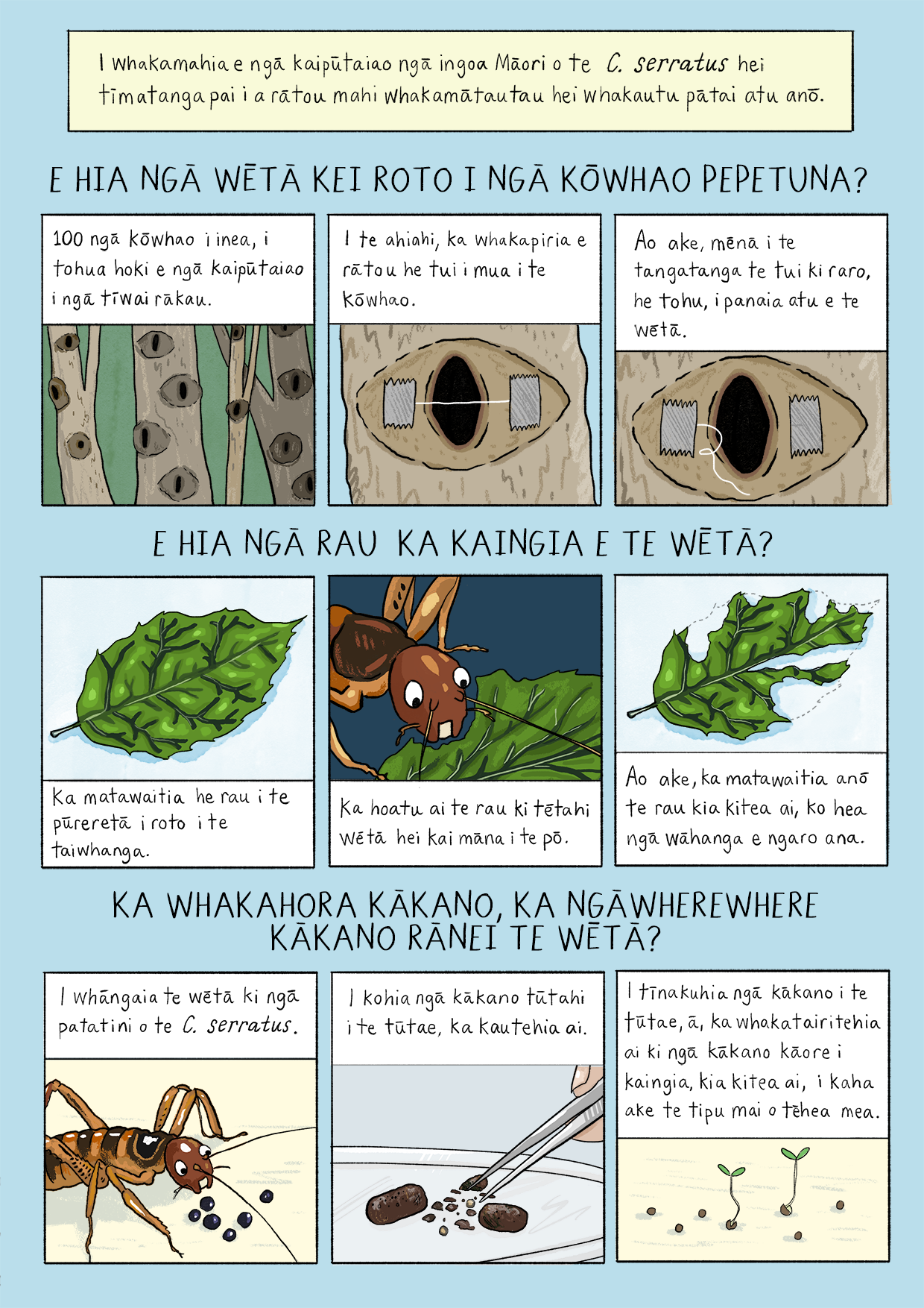 putaputaweta te reo 3